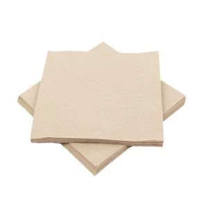 Servilleta Tissue Nature 20x20 cm - 6000 uds