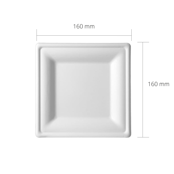 PQ160-Square Plate-160x160mm-Pulp Cellulose-Graphired-Technico-74